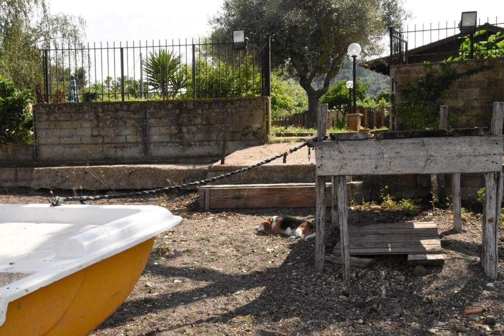 Independent Villa With Private Beach On The Lake Bracciano  Exterior photo